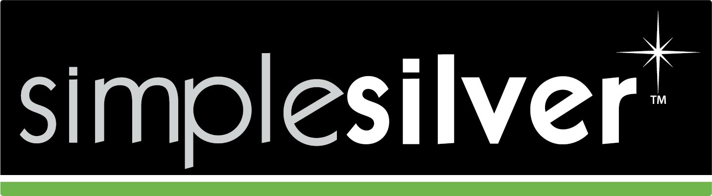 Simple Silver Logo